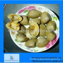 fresh frozen delicious surf clam superior provider